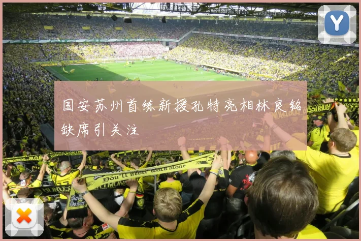 国安苏州首练新援孔特亮相林良铭缺席引关注
