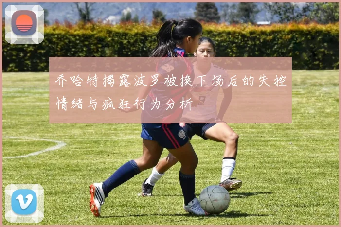 乔哈特揭露波罗被换下场后的失控情绪与疯狂行为分析